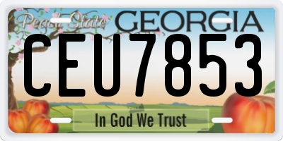GA license plate CEU7853