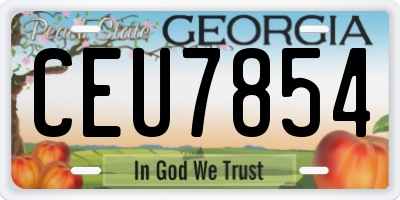 GA license plate CEU7854