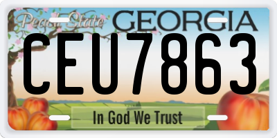 GA license plate CEU7863