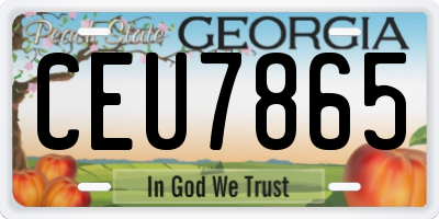 GA license plate CEU7865