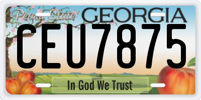 GA license plate CEU7875
