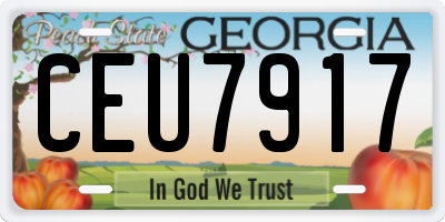 GA license plate CEU7917