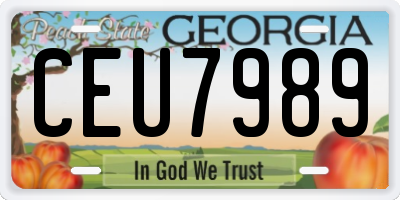 GA license plate CEU7989