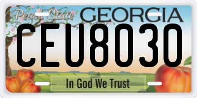 GA license plate CEU8030