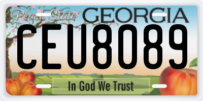 GA license plate CEU8089
