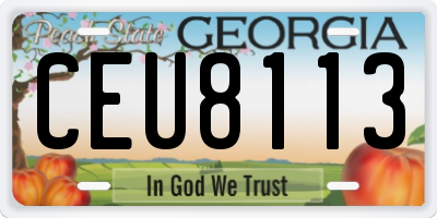 GA license plate CEU8113