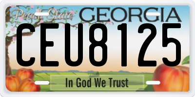 GA license plate CEU8125