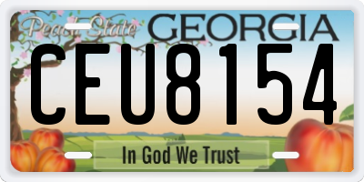 GA license plate CEU8154