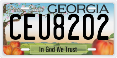 GA license plate CEU8202