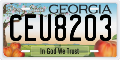 GA license plate CEU8203