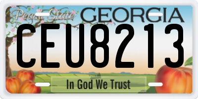 GA license plate CEU8213