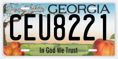 GA license plate CEU8221