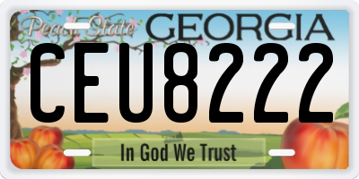 GA license plate CEU8222
