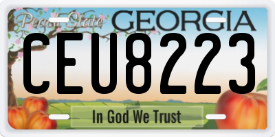 GA license plate CEU8223