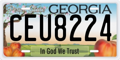 GA license plate CEU8224