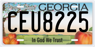 GA license plate CEU8225