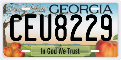 GA license plate CEU8229