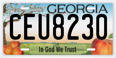 GA license plate CEU8230