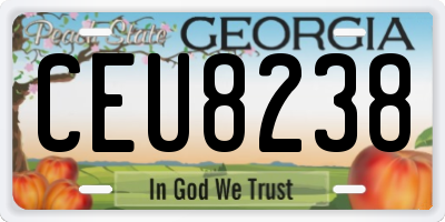 GA license plate CEU8238