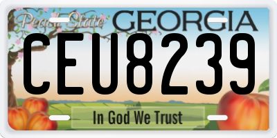 GA license plate CEU8239