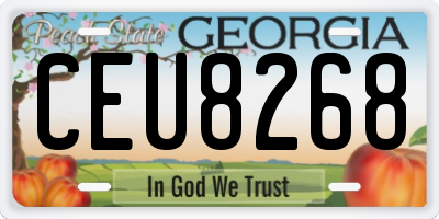 GA license plate CEU8268