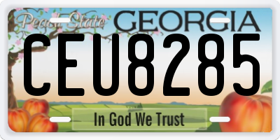 GA license plate CEU8285