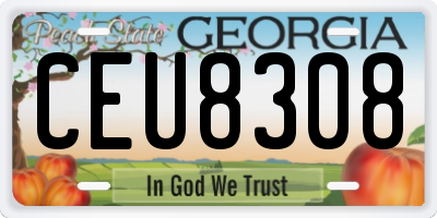 GA license plate CEU8308