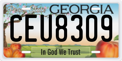 GA license plate CEU8309