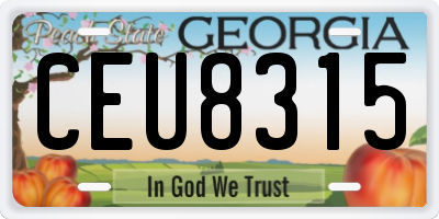 GA license plate CEU8315