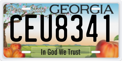 GA license plate CEU8341