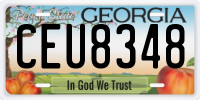 GA license plate CEU8348