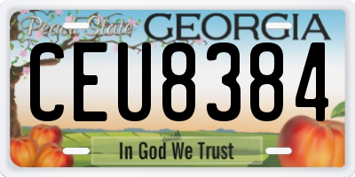 GA license plate CEU8384