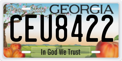 GA license plate CEU8422