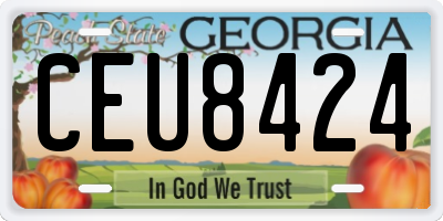 GA license plate CEU8424