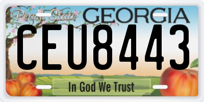 GA license plate CEU8443
