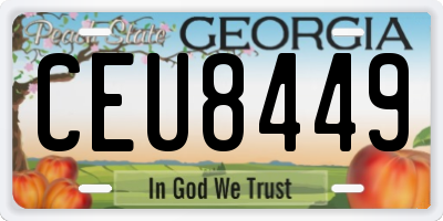 GA license plate CEU8449