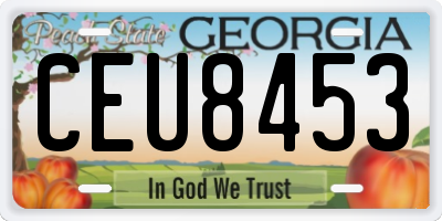 GA license plate CEU8453