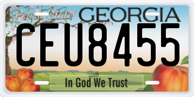 GA license plate CEU8455