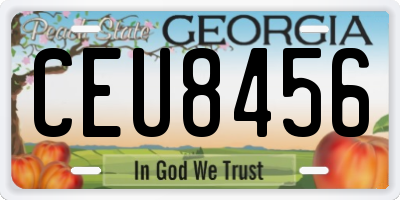 GA license plate CEU8456