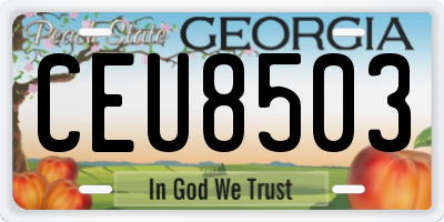 GA license plate CEU8503