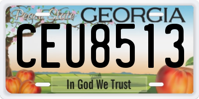 GA license plate CEU8513