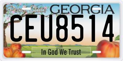 GA license plate CEU8514