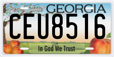 GA license plate CEU8516