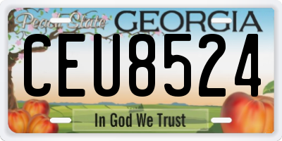 GA license plate CEU8524
