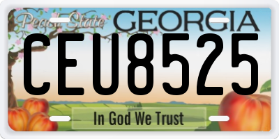 GA license plate CEU8525