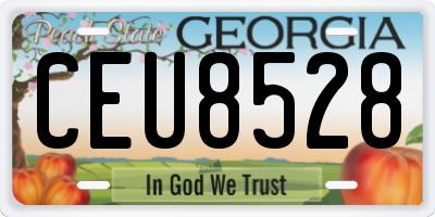 GA license plate CEU8528
