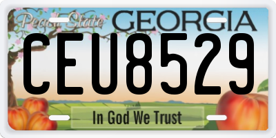 GA license plate CEU8529