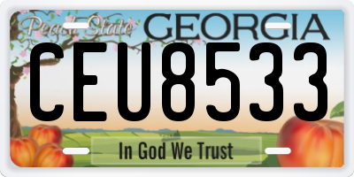 GA license plate CEU8533