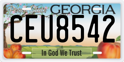 GA license plate CEU8542