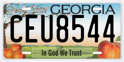 GA license plate CEU8544